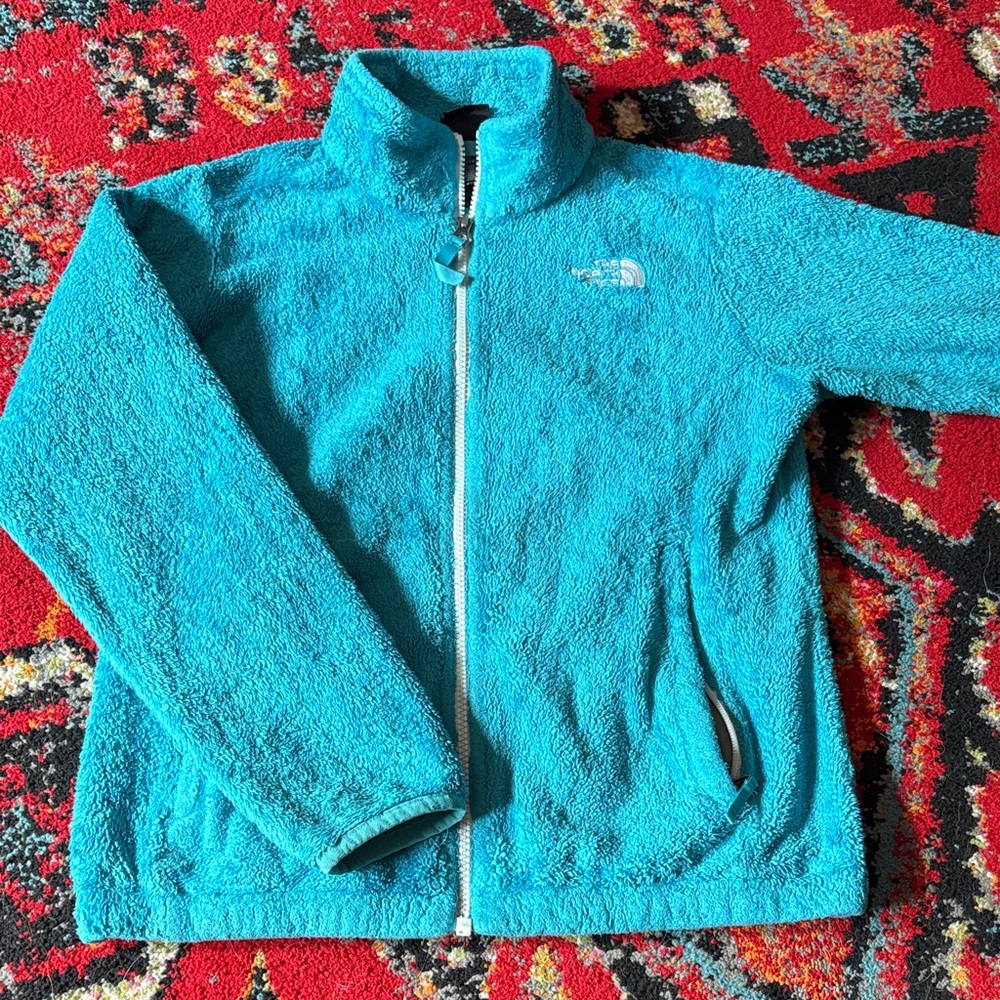 The North Face Turquoise Fleece Jacket